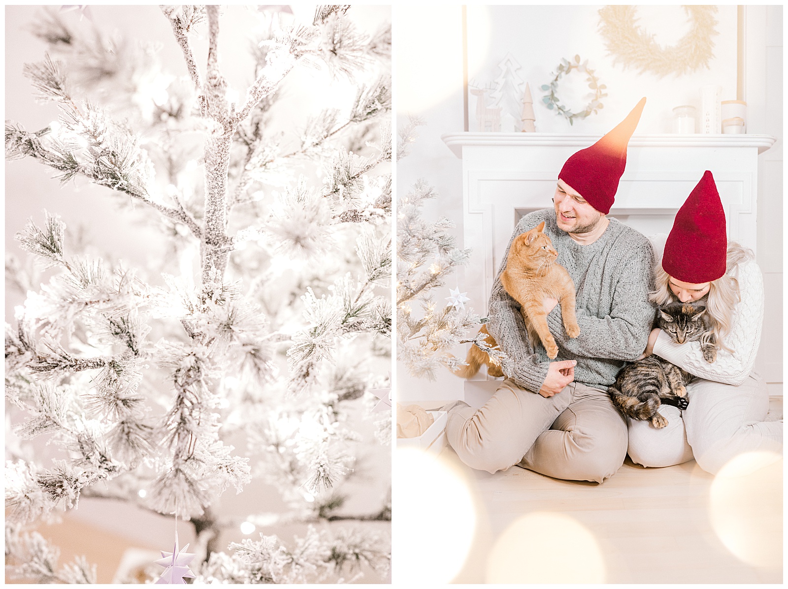 vores jul og familiebilleder ved juletræet med vores katte