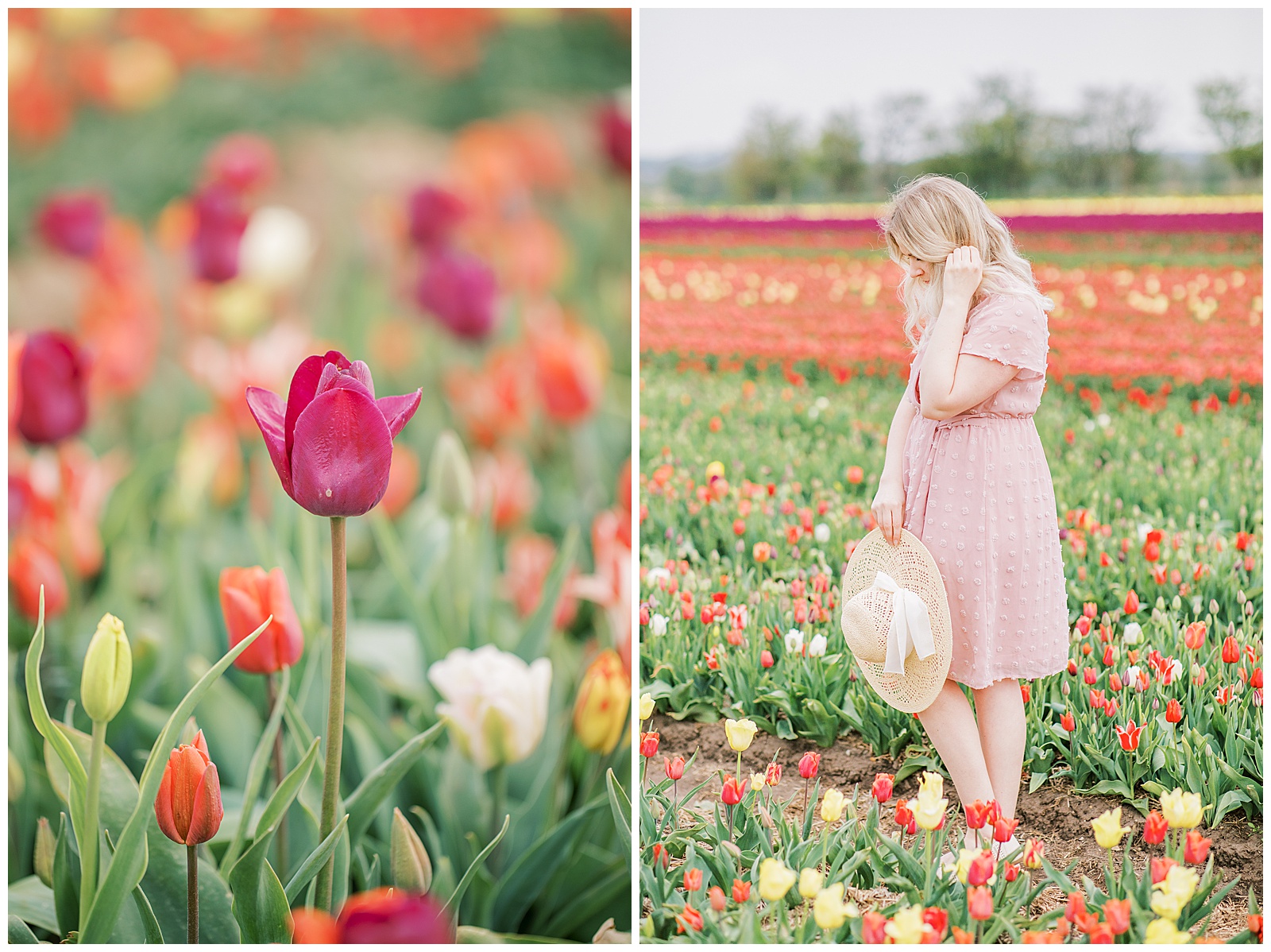 pictures in the danish tulip fields in Europe taken by danish wedding photographer jeanette merstrand
